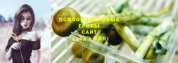 прущий лед Аркадак
