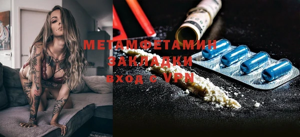 прущие грибы Армянск