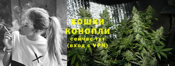 прущие грибы Армянск