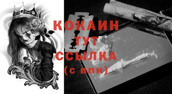 прущий лед Аркадак