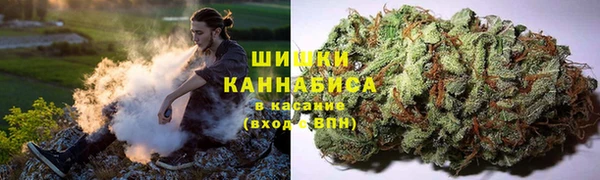 прущие грибы Армянск