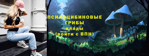 прущий лед Аркадак